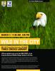 Wild In The City Flyer