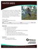 Winter Birds class description